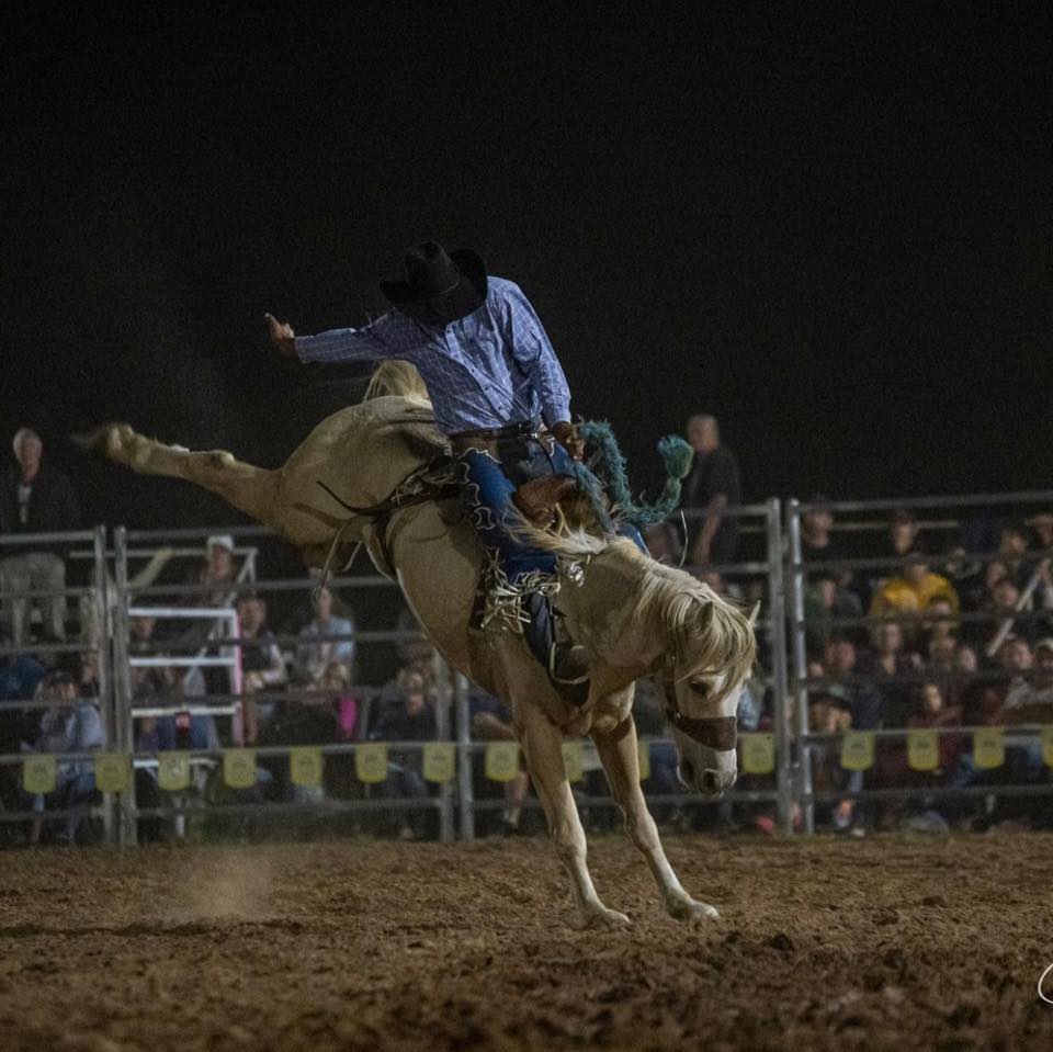 Black Opal Bull Ride Peter Chaffey